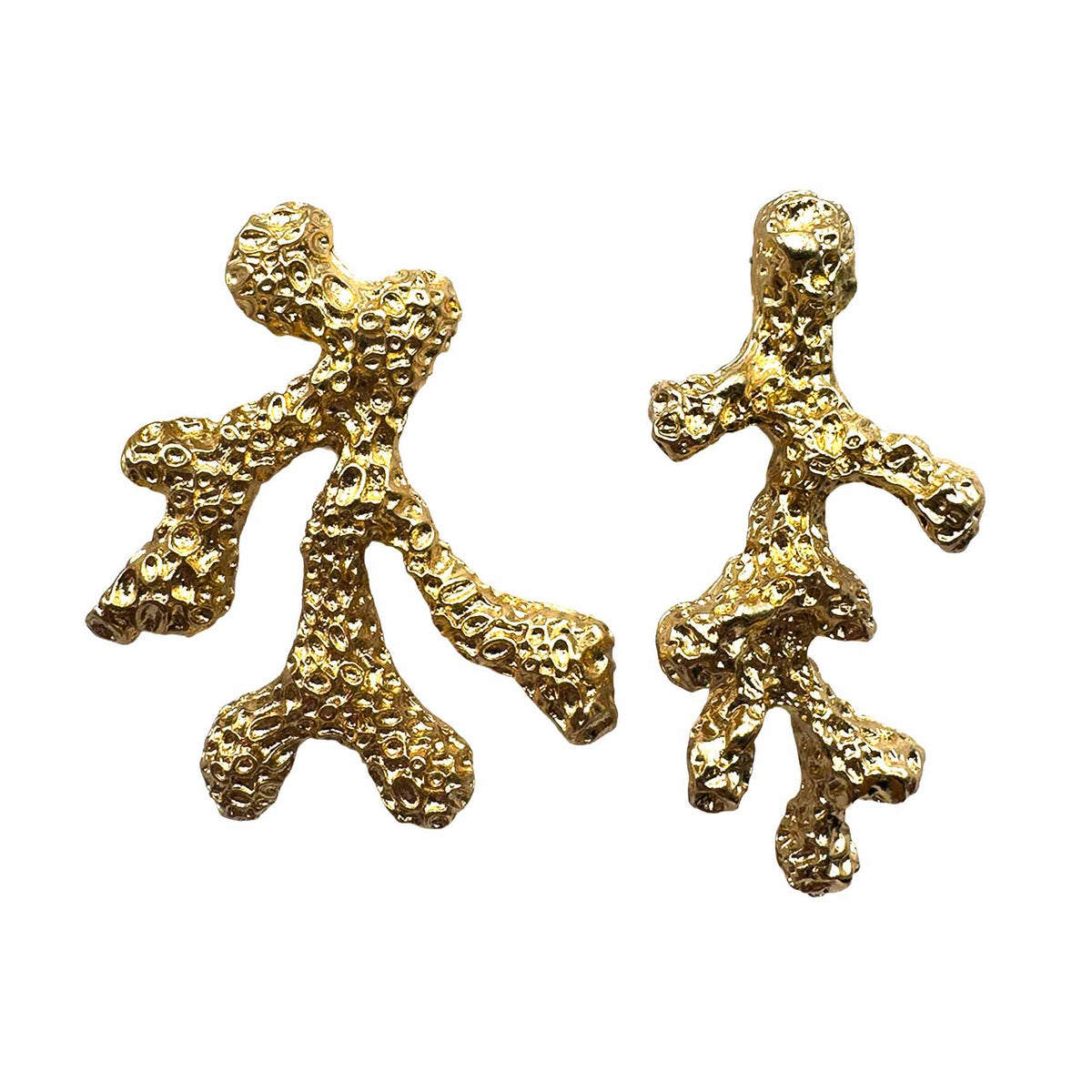 Corallo d&
