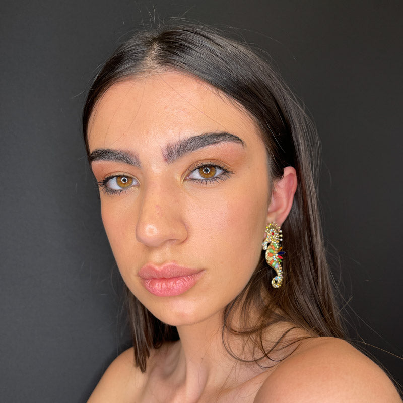 Cavallucci multicolor - New Collection 2024