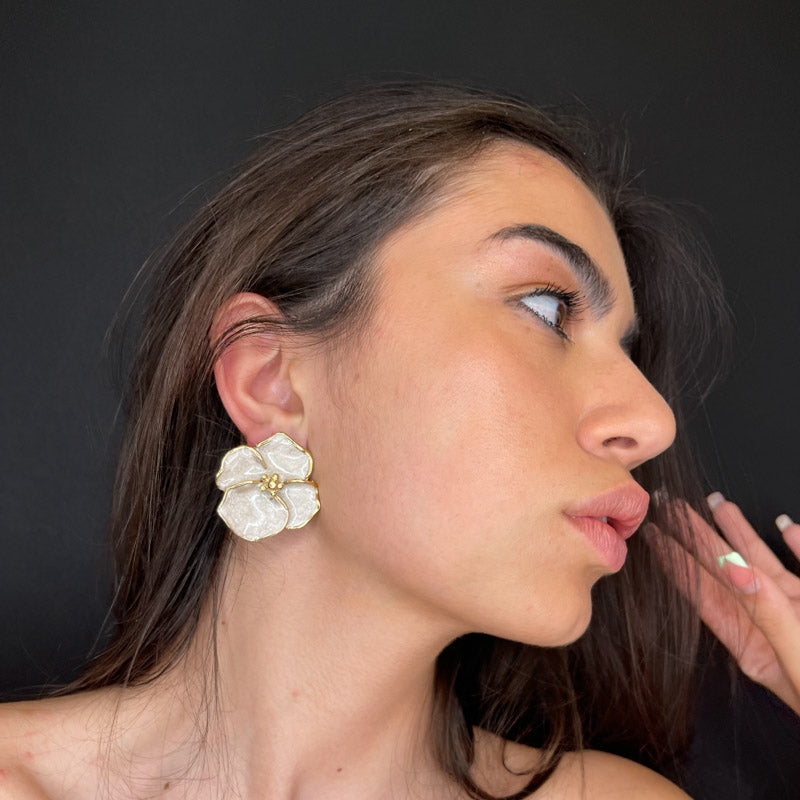 Primula - New Collection 2023