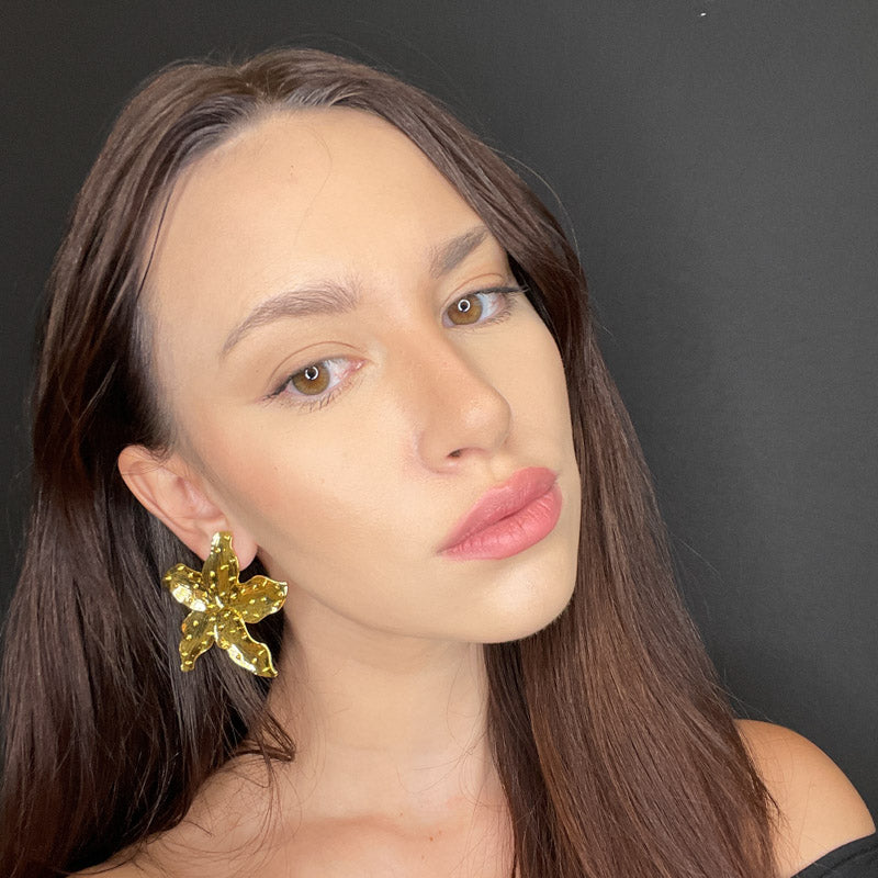 Stella Marina - new edition 2025