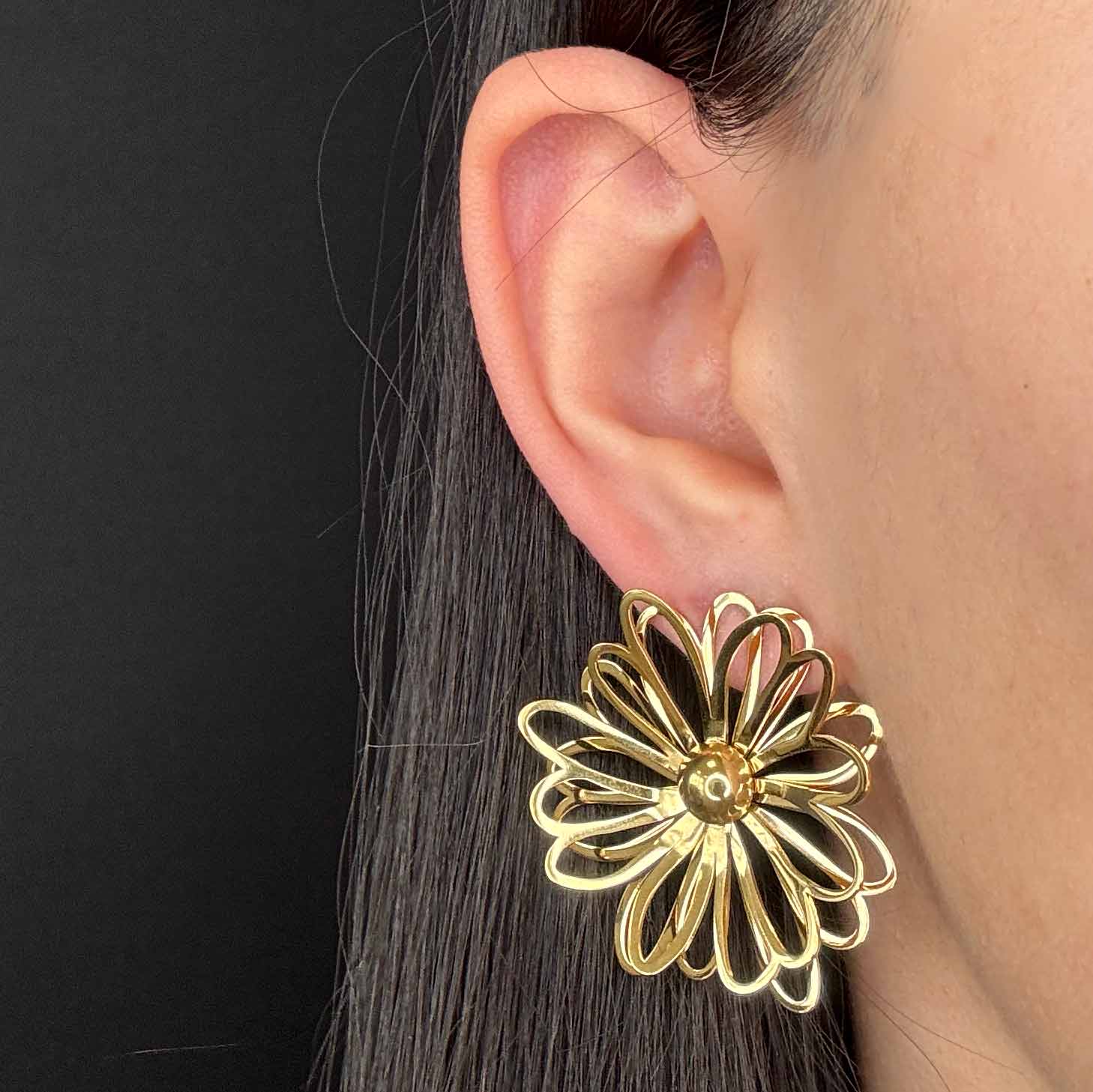 Margherite Splendenti Gold