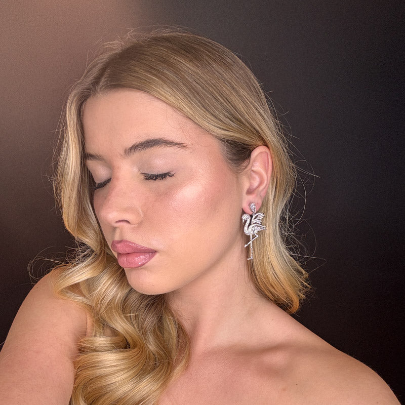 Fenicotteri di pavè