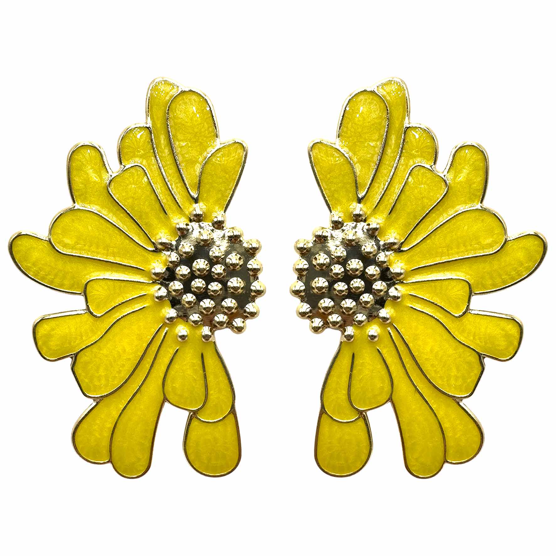 Fiori d&