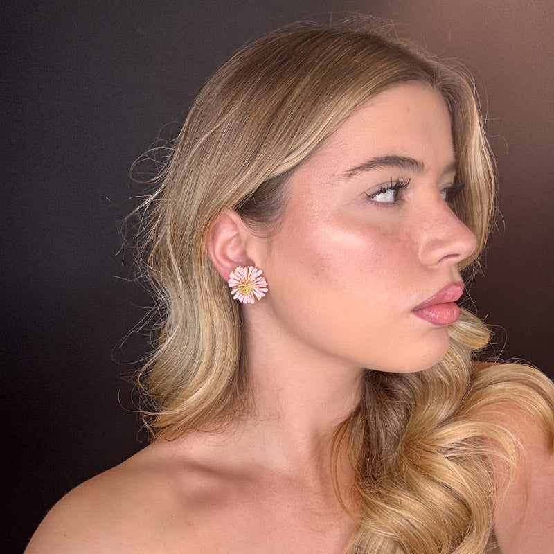 Margheritine colorate