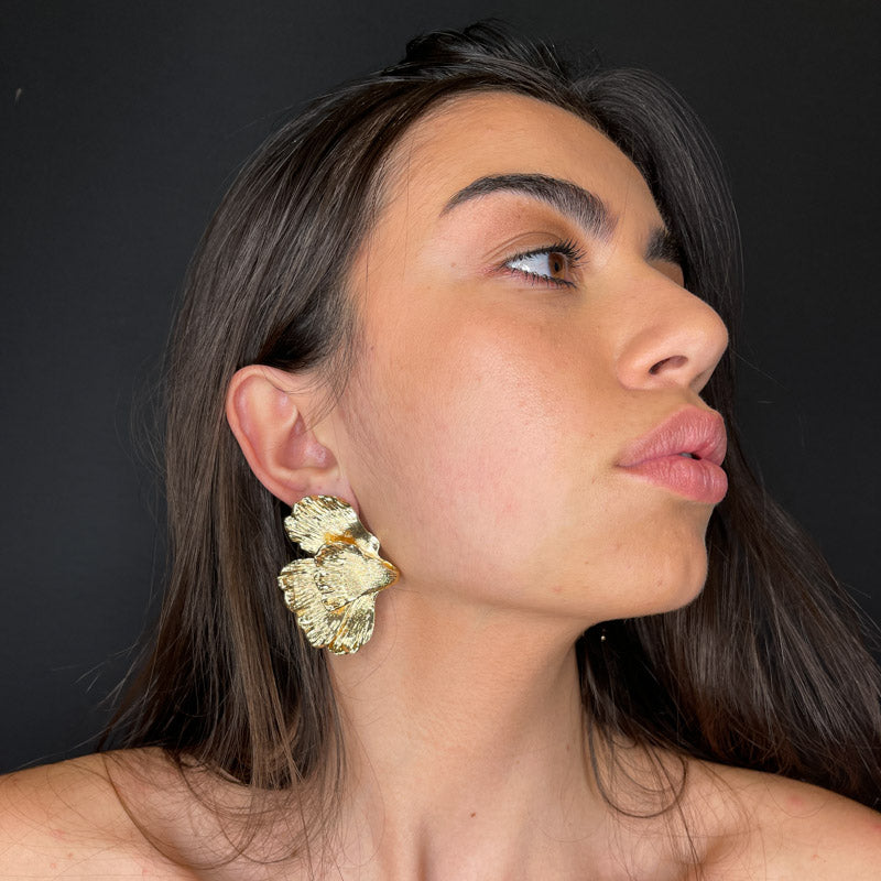 Palestro Milano Orecchini Parigi - ex demo