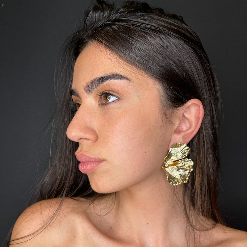 Palestro Milano Orecchini Parigi - ex demo