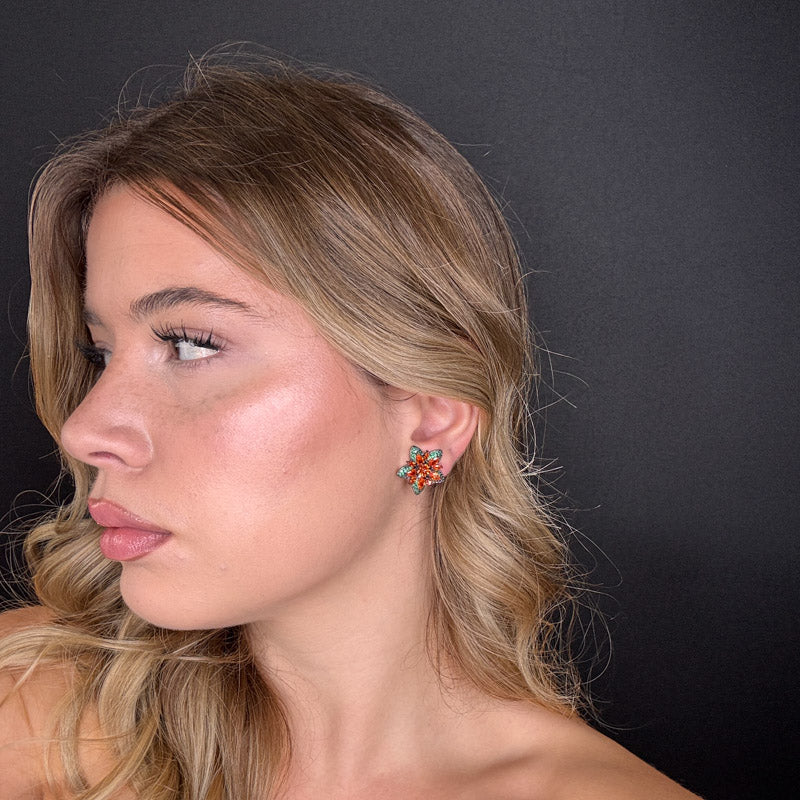 Palestro Milano Stelle colorate di pavè