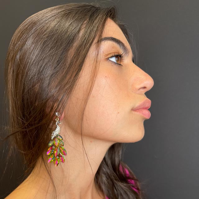 Palestro Milano Orecchini Multicolor Pavone