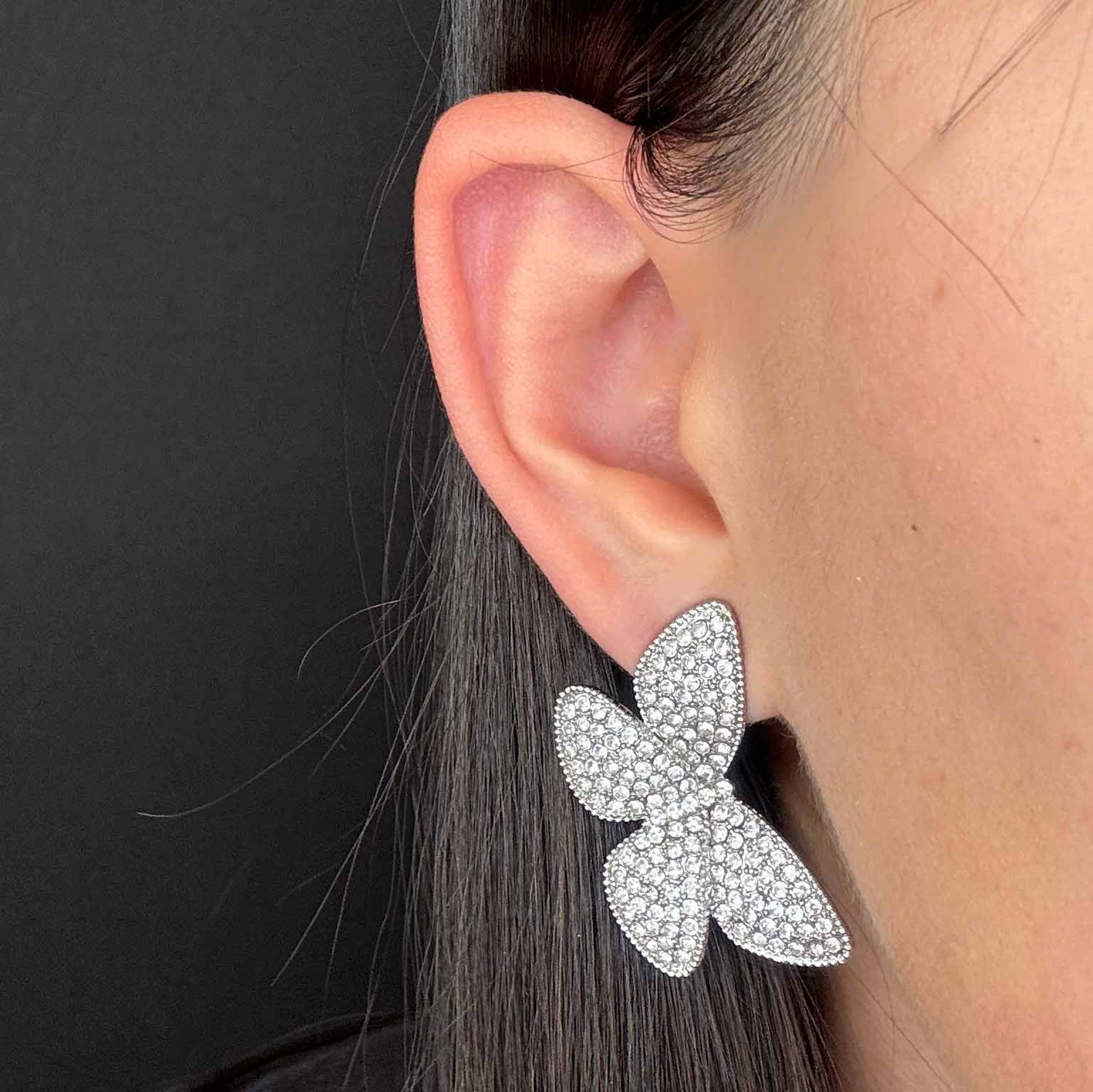 Butterfly di Zirconi