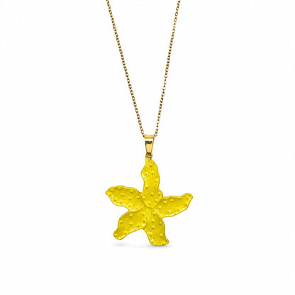 Collana Stella Marina Colorata