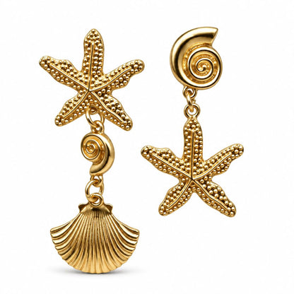 Conchiglia &amp; Stella Marina Asimmetrica