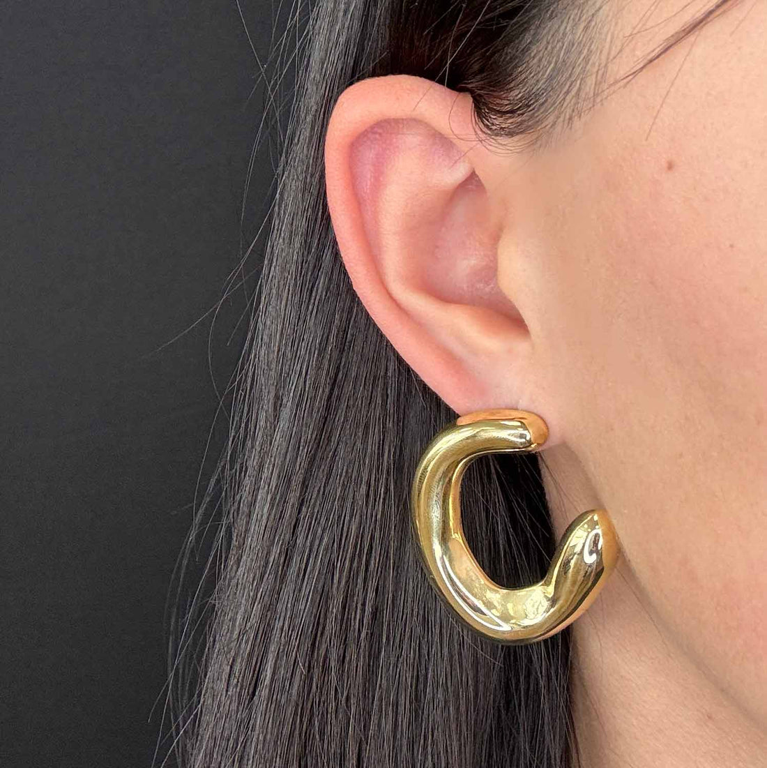 Camelia Hoops