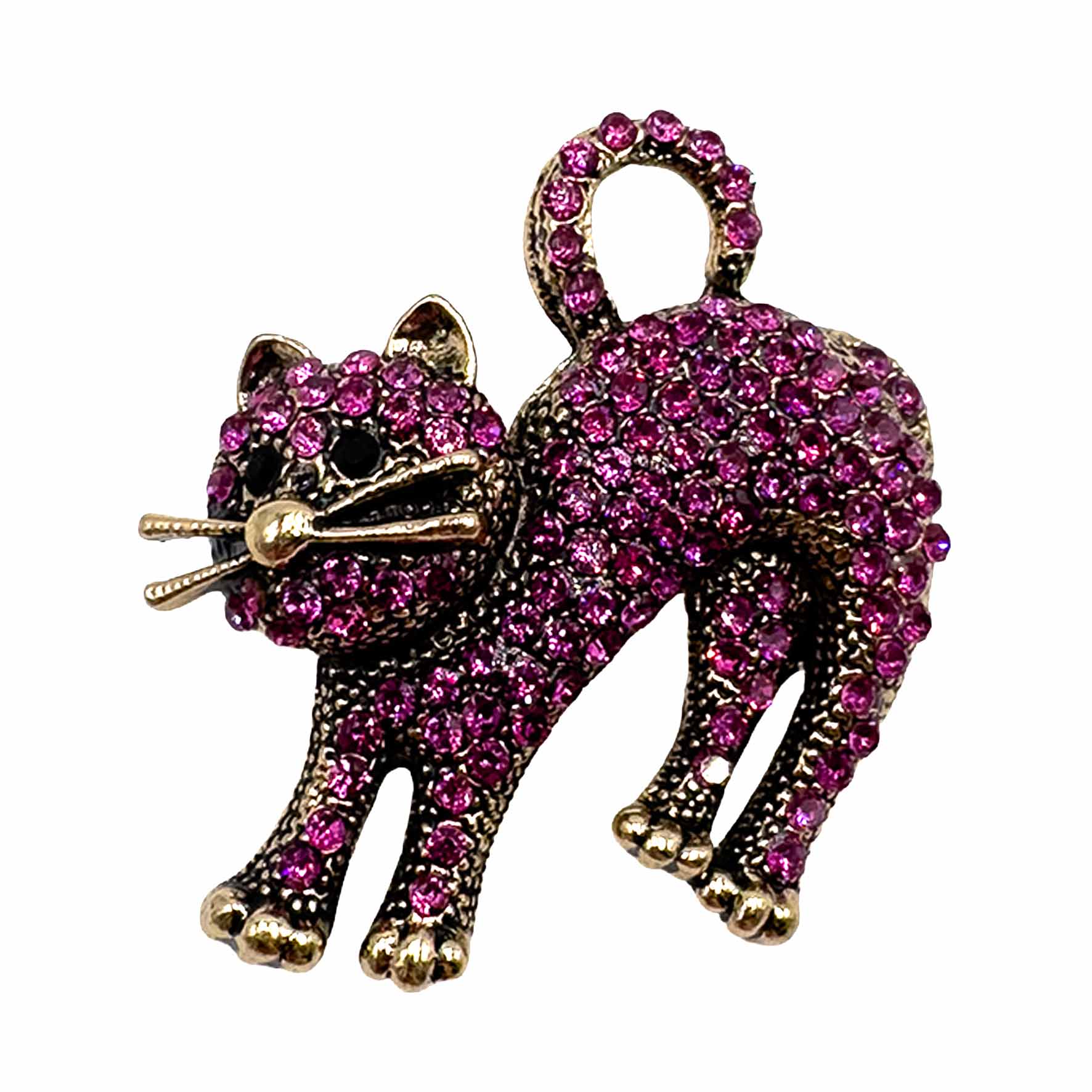 Palestro Milano Spille e spillette Fucsia Gatto Spaventato