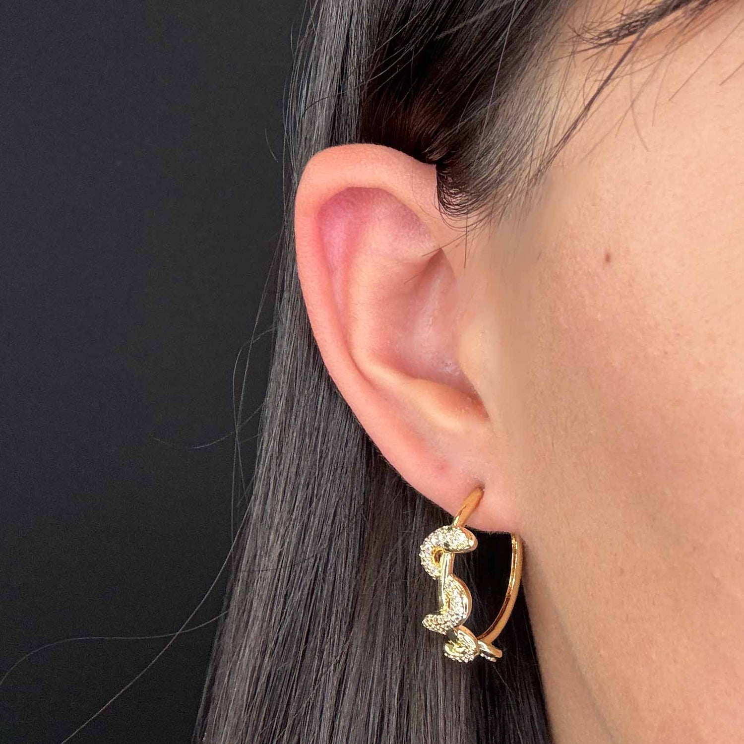 Hoops di Serpenti