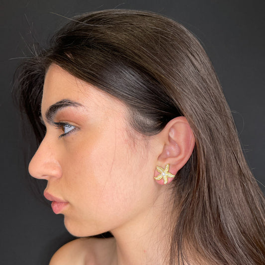 Stella marina con perline