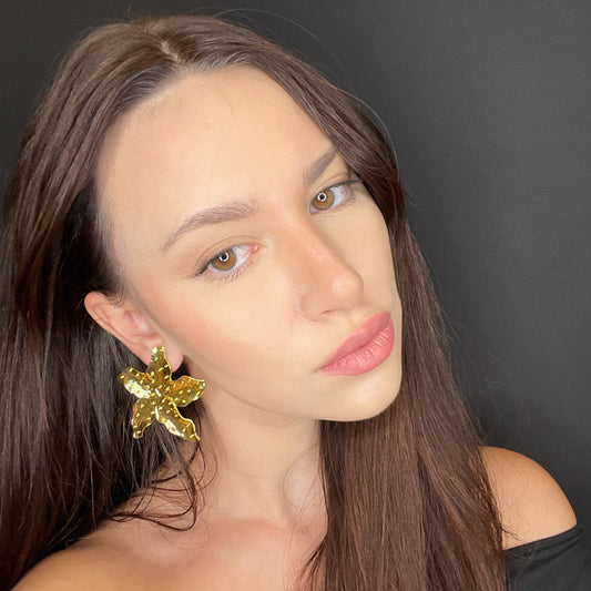 Stella Marina - new edition 2025