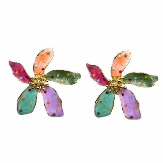 Iris multicolor - new edition 2025