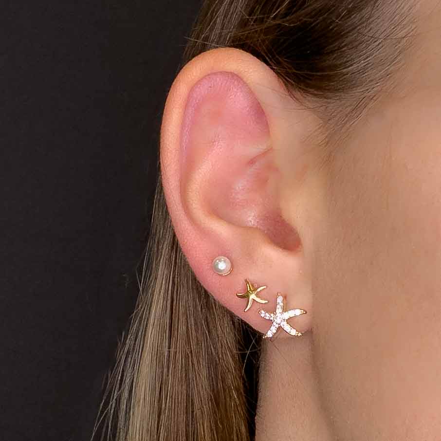 Mini Stelle Marine - Set