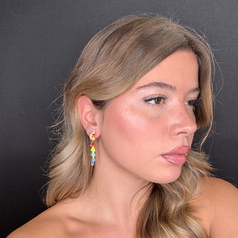 Pappagalli coda lunga