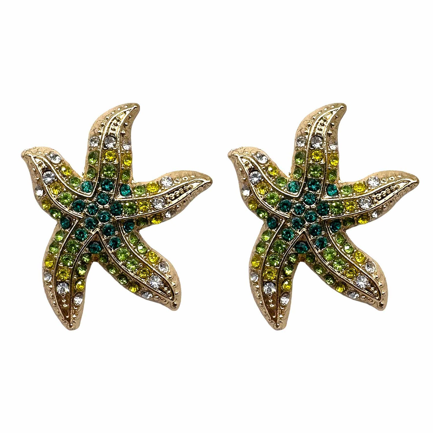 Star Fish di Zirconi