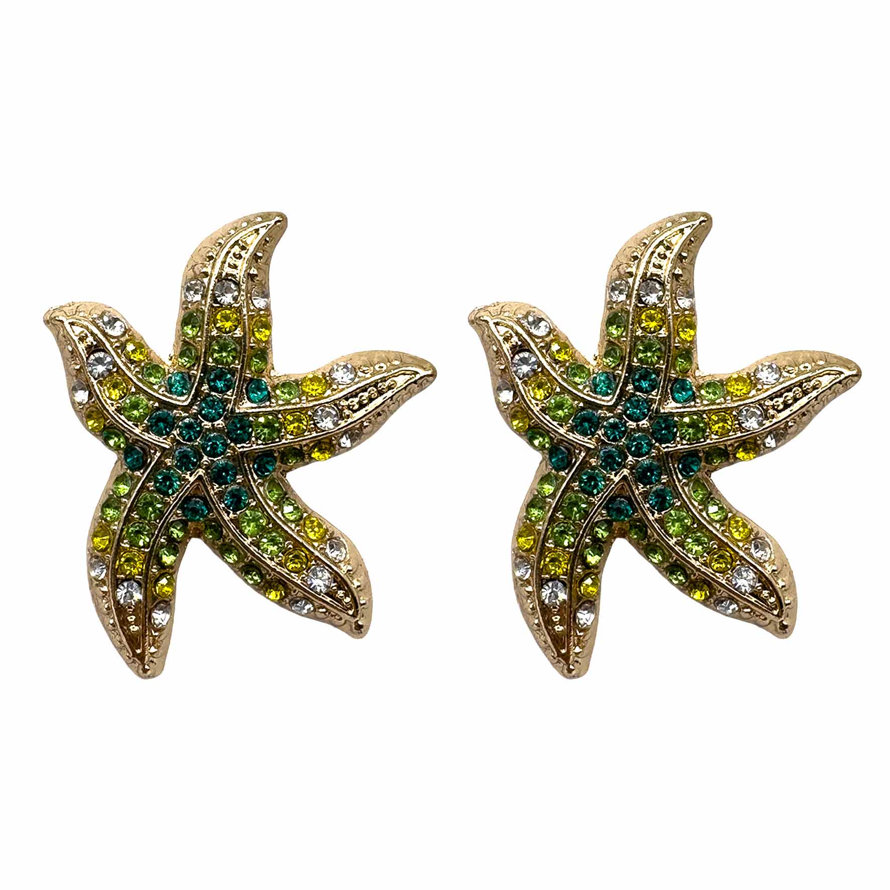 Star Fish di Zirconi