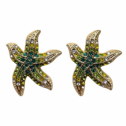 Star Fish di Zirconi