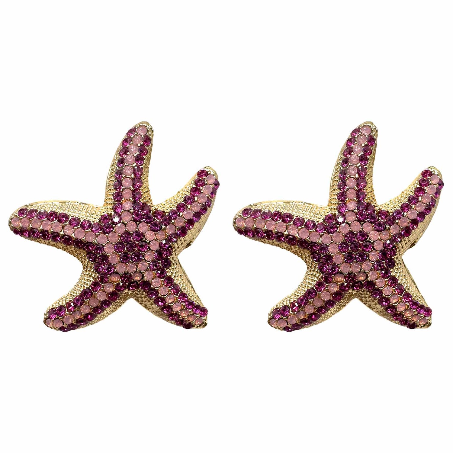 Stelle Marine Magiche