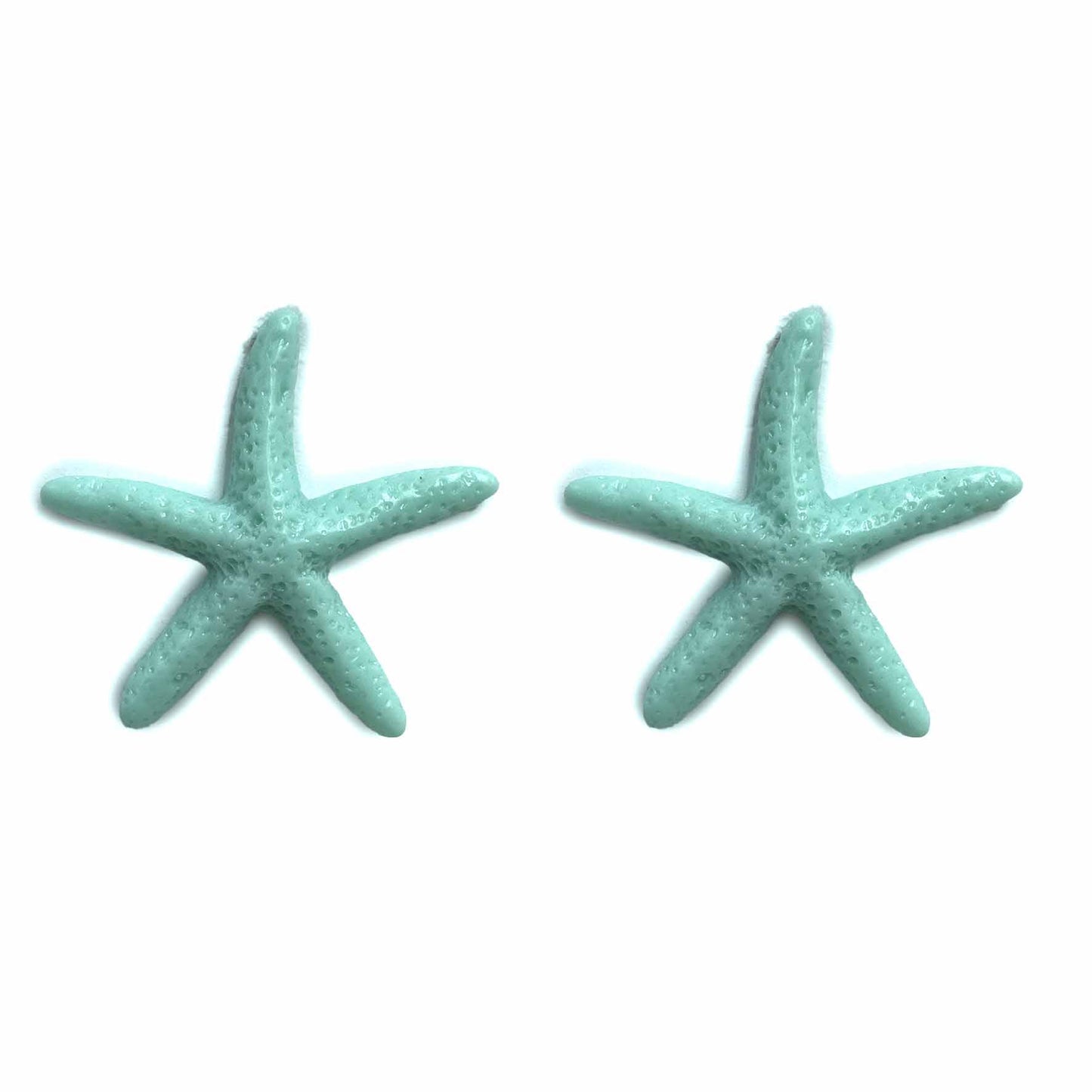 Stelle marine del Mediterraneo