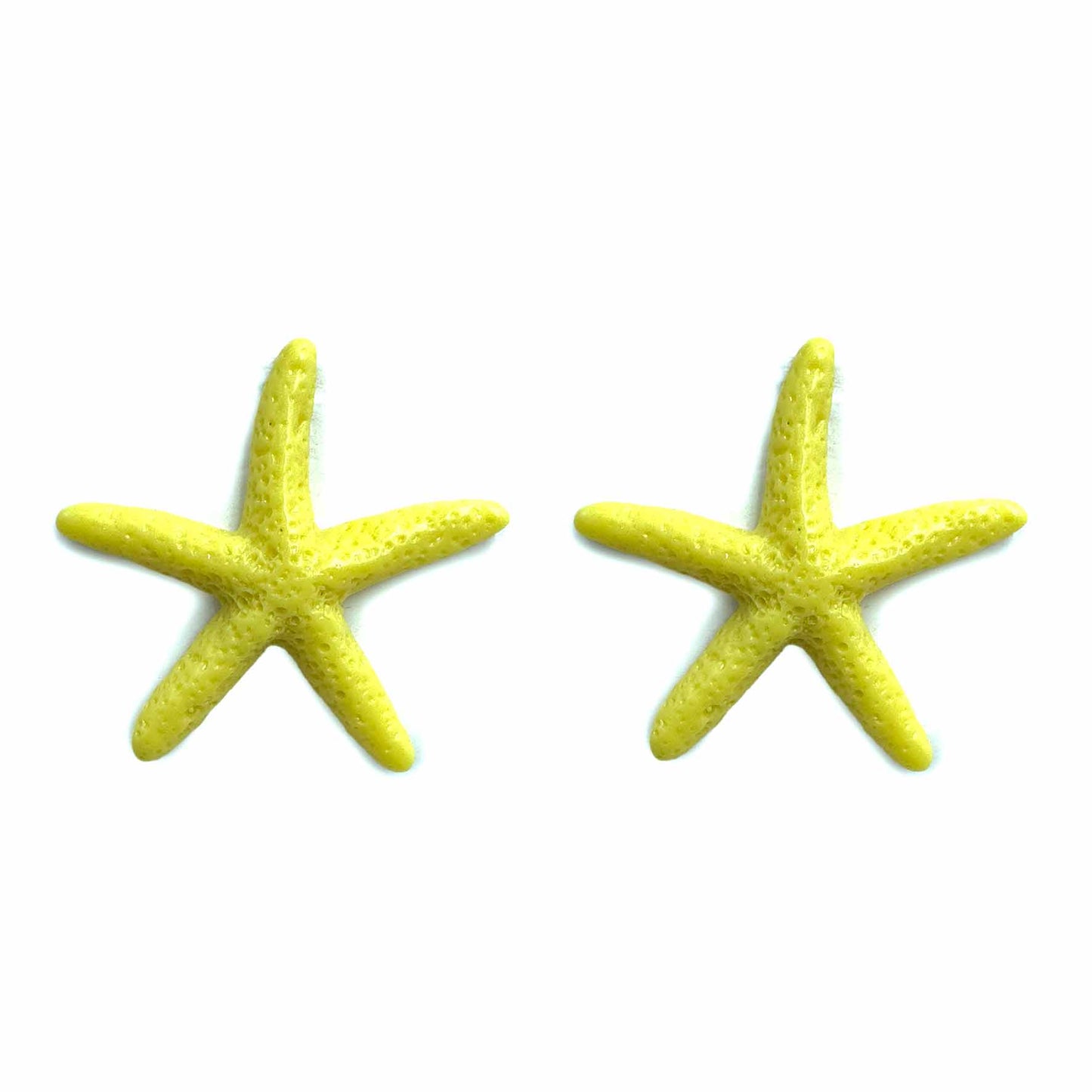 Stelle marine del Mediterraneo