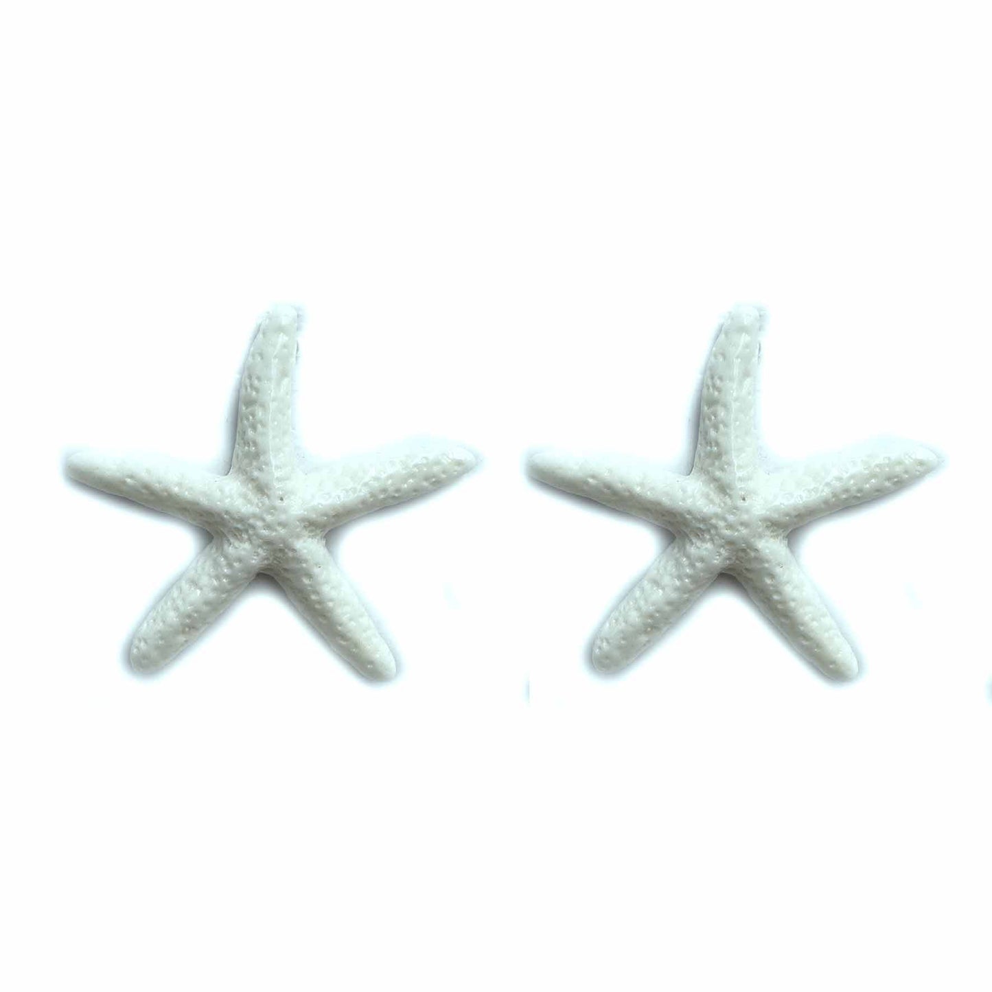 Stelle marine del Mediterraneo