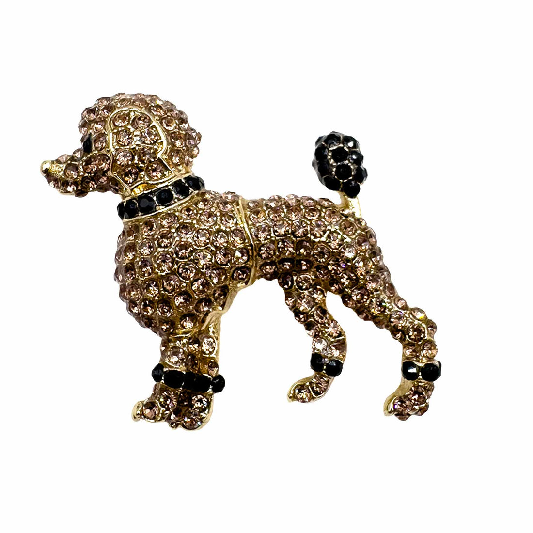 Palestro Milano Spille e spillette Champagne Barbone
