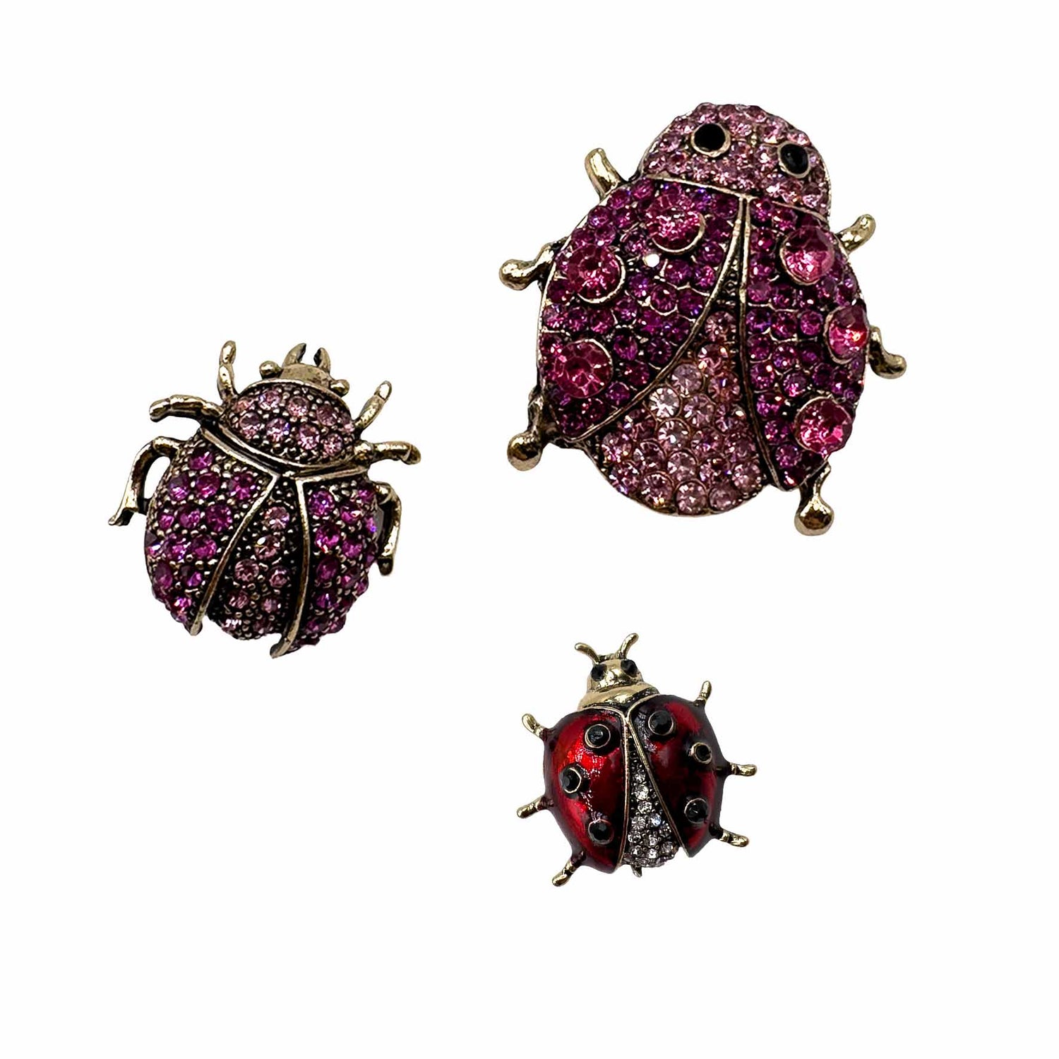 Palestro Milano Spille e spillette Fucsia Coccinelle - Set