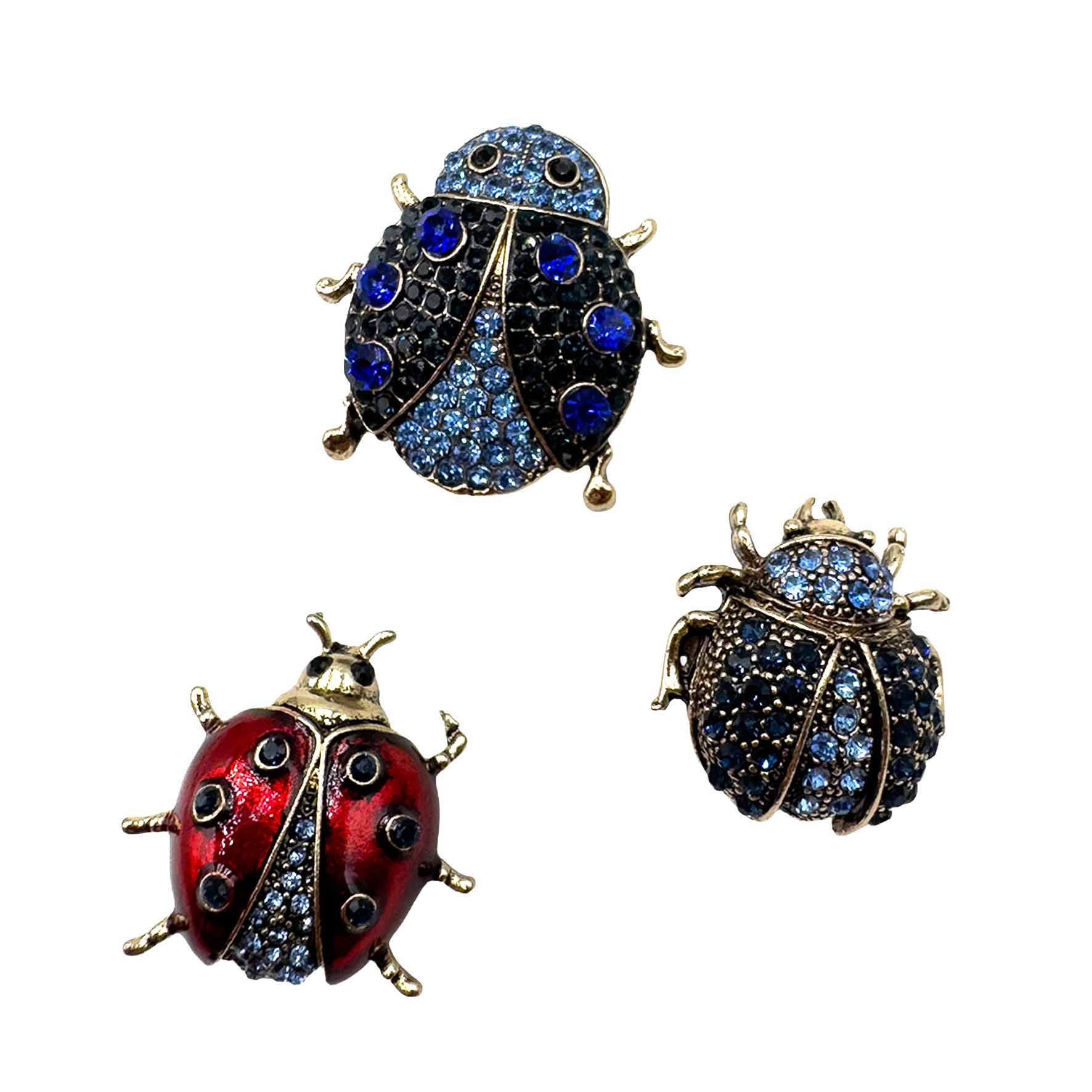 Palestro Milano Spille e spillette Blu Coccinelle - Set