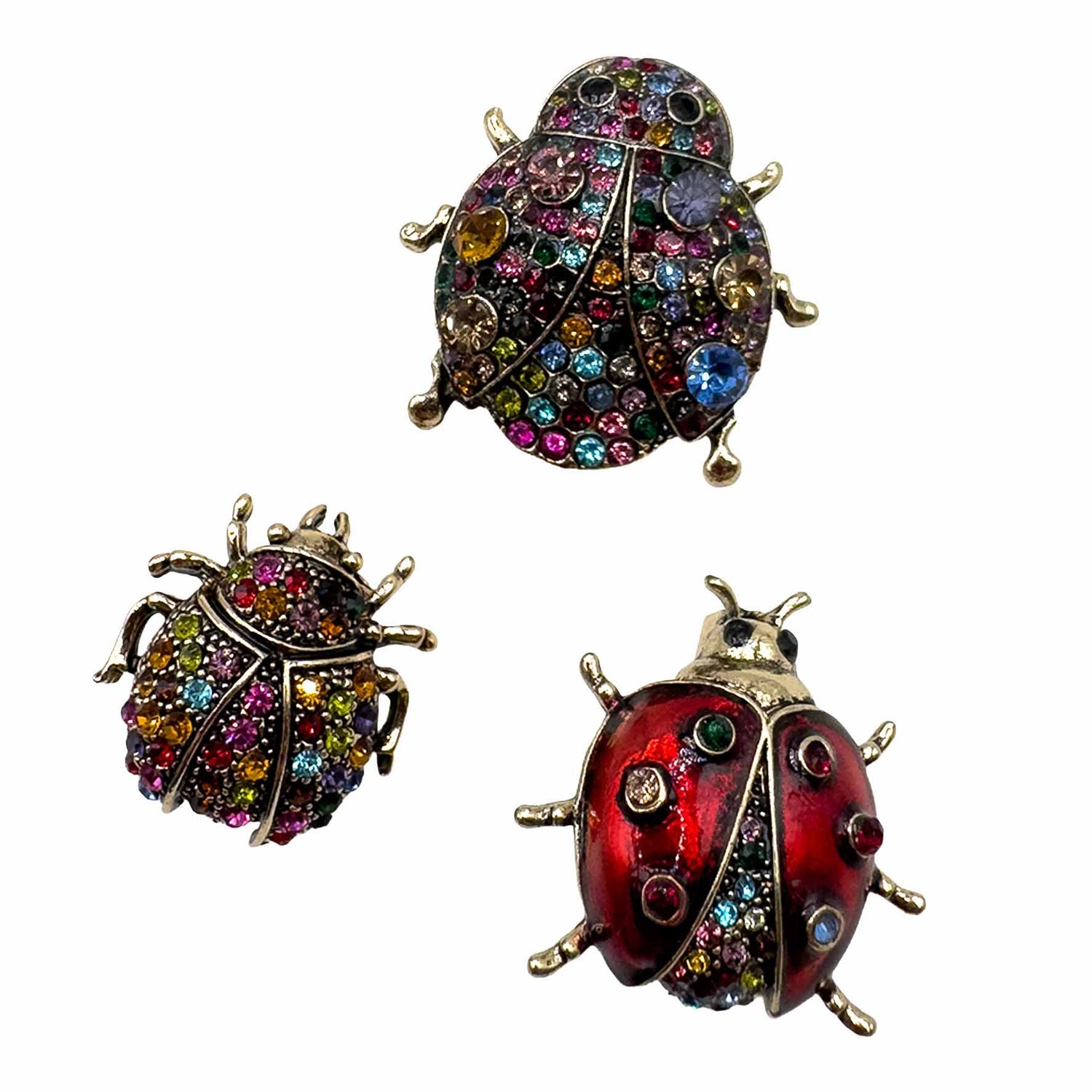 Palestro Milano Spille e spillette Multicolor Coccinelle - Set