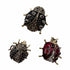 Palestro Milano Spille e spillette Black Coccinelle - Set