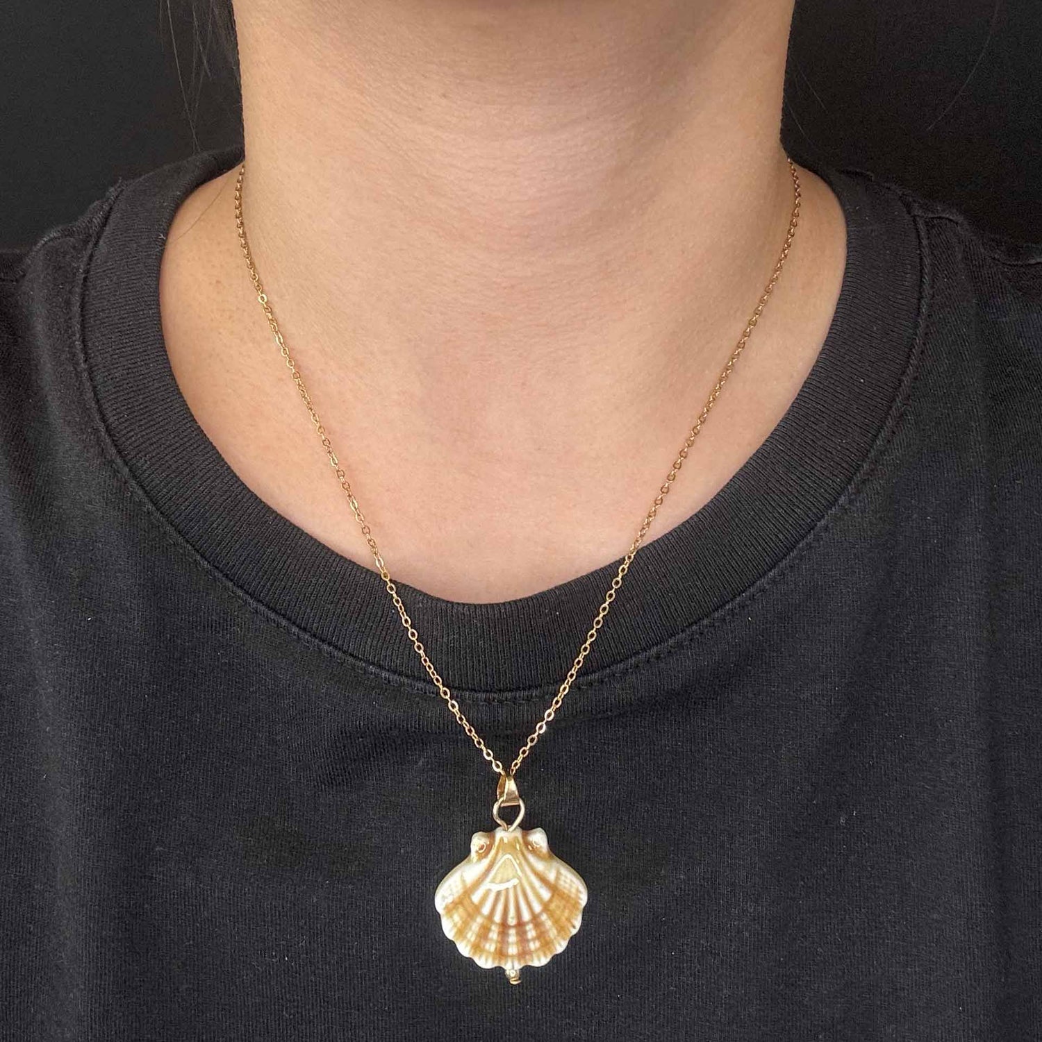 Collana di Conchiglie Dipinte
