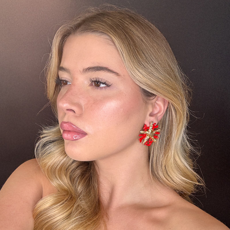 Corallo rosso con Stella marina