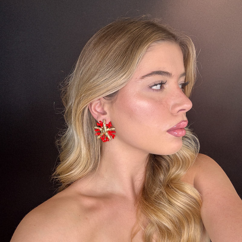 Corallo rosso con Stella marina