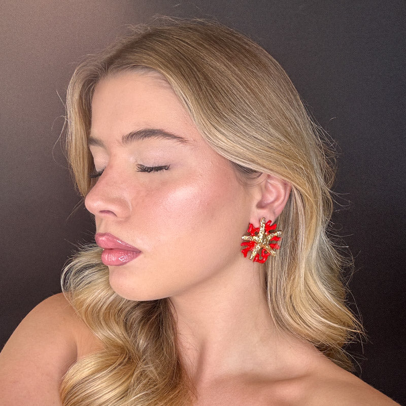 Corallo rosso con Stella marina