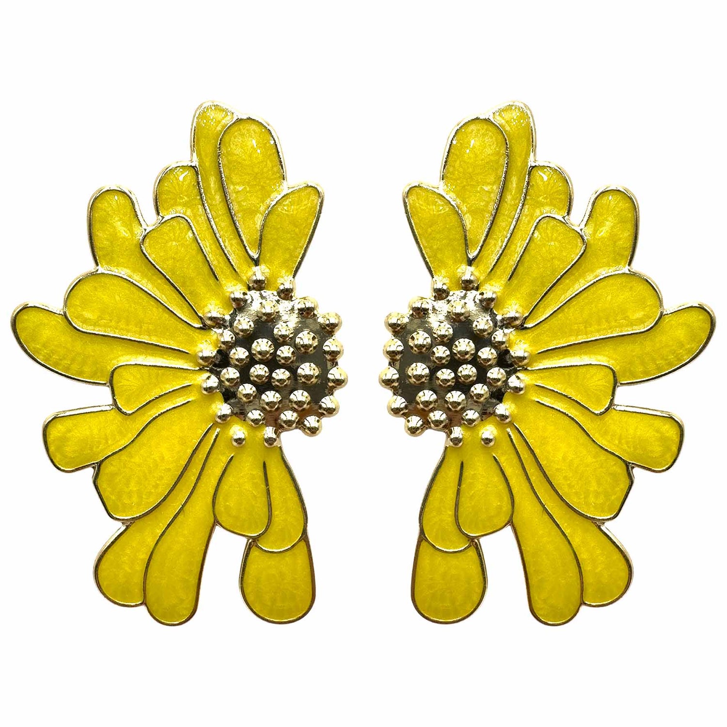 Fiori d&