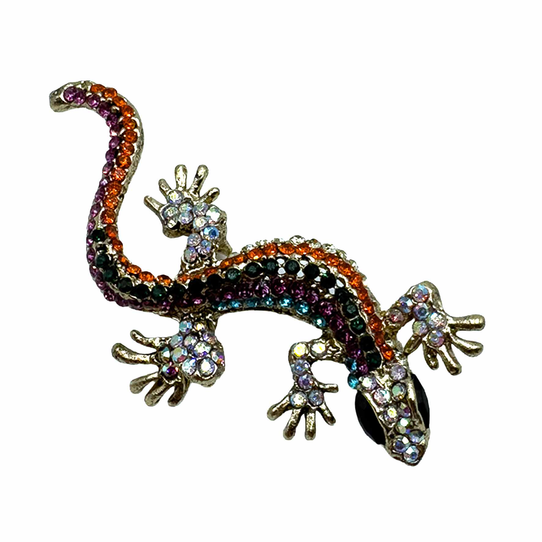 Palestro Milano Spille e spillette Multicolor Geko