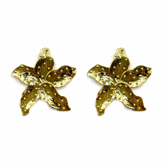 Stella Marina - new edition 2025