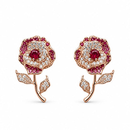 Rosa di Pavè - new edition