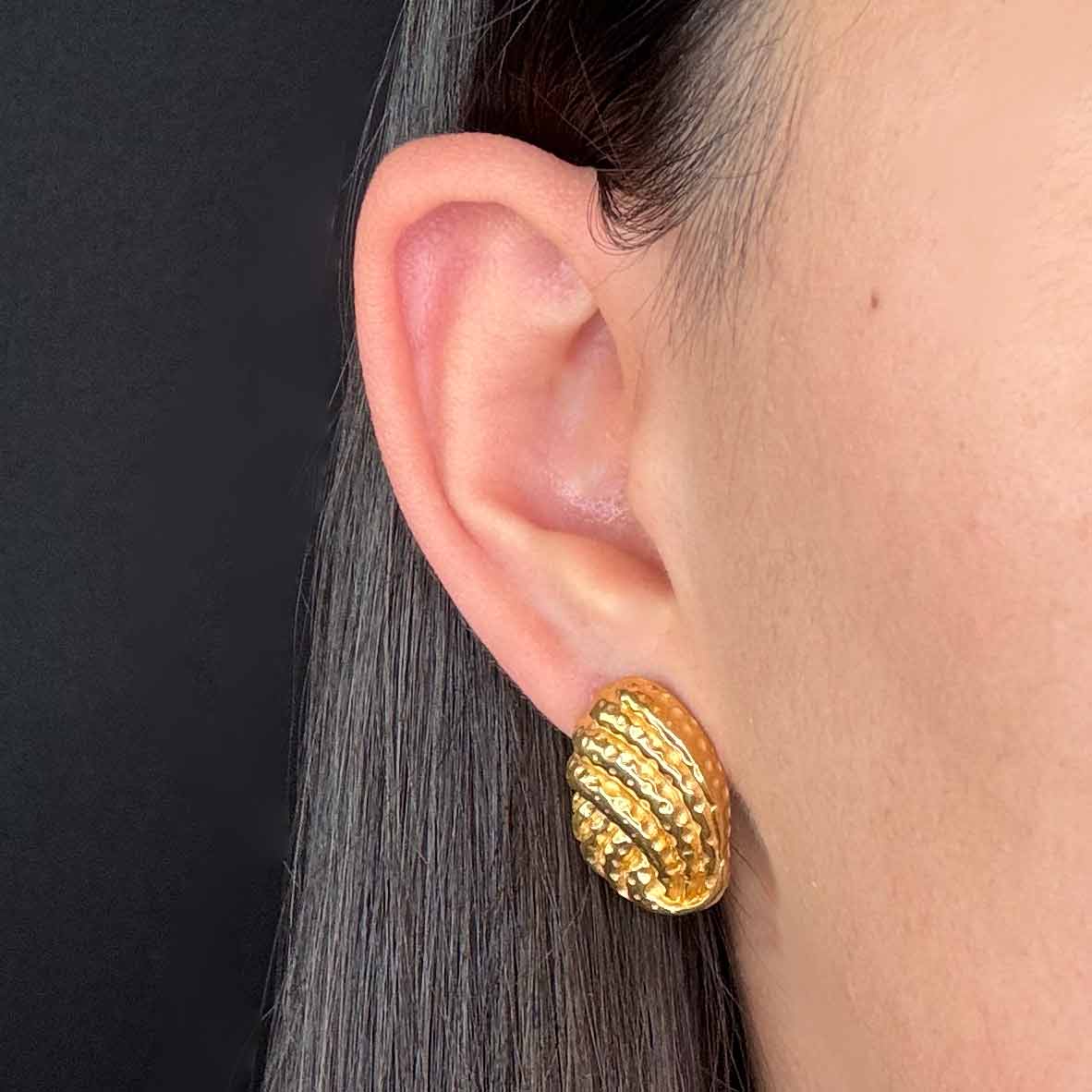 Conchiglia d’Oro