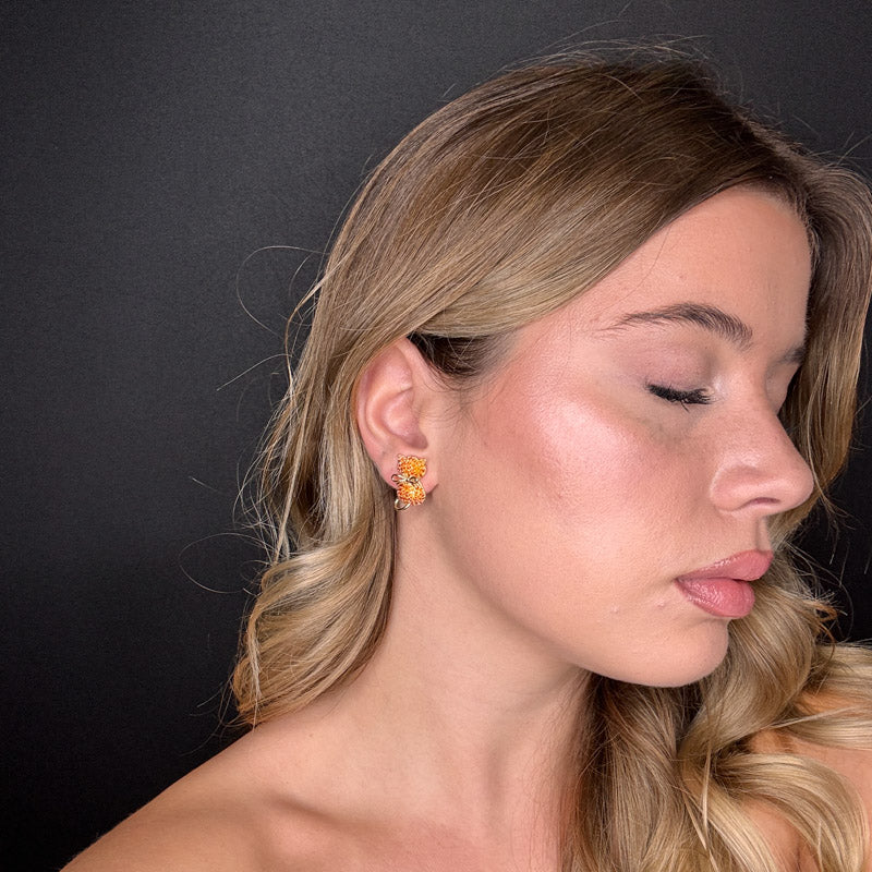 Palestro Milano Gattini di Pavè