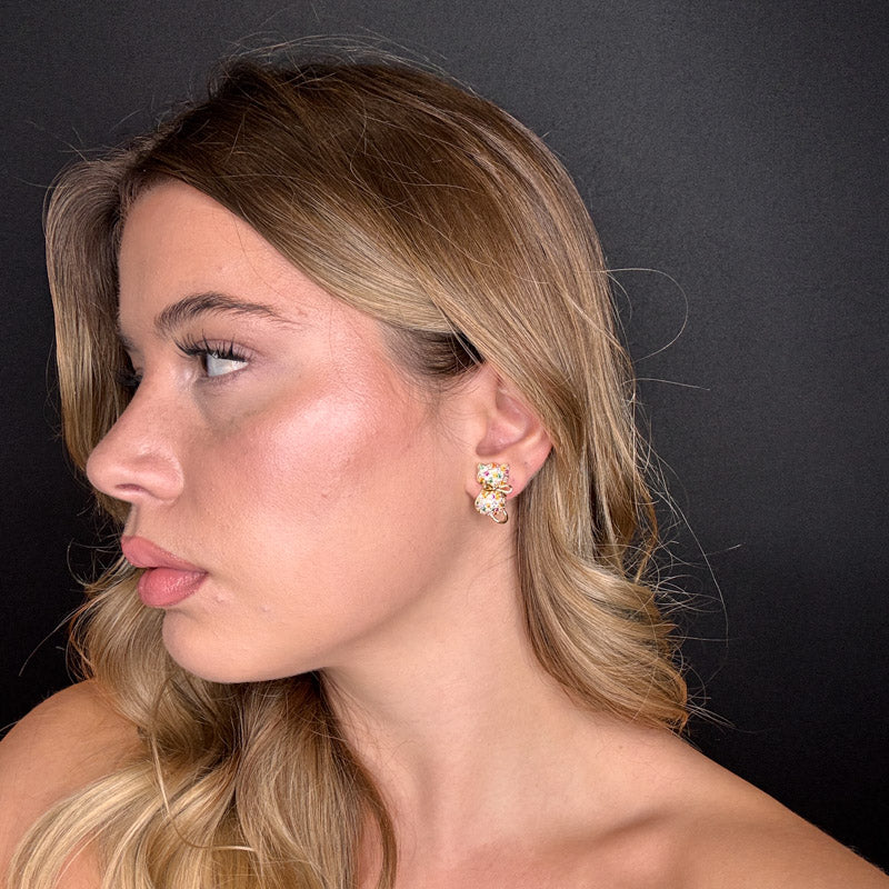 Palestro Milano Gattini di Pavè