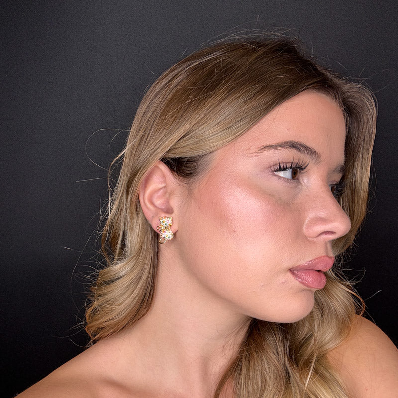 Palestro Milano Gattini di Pavè