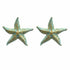 Palestro Milano Orecchini Azzurro Stelle marine Zanzibar