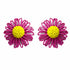 Palestro Milano Orecchini Fucsia Margherite colorate in rafia - classic edition
