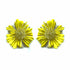 Palestro Milano Orecchini Giallo Margheritine colorate